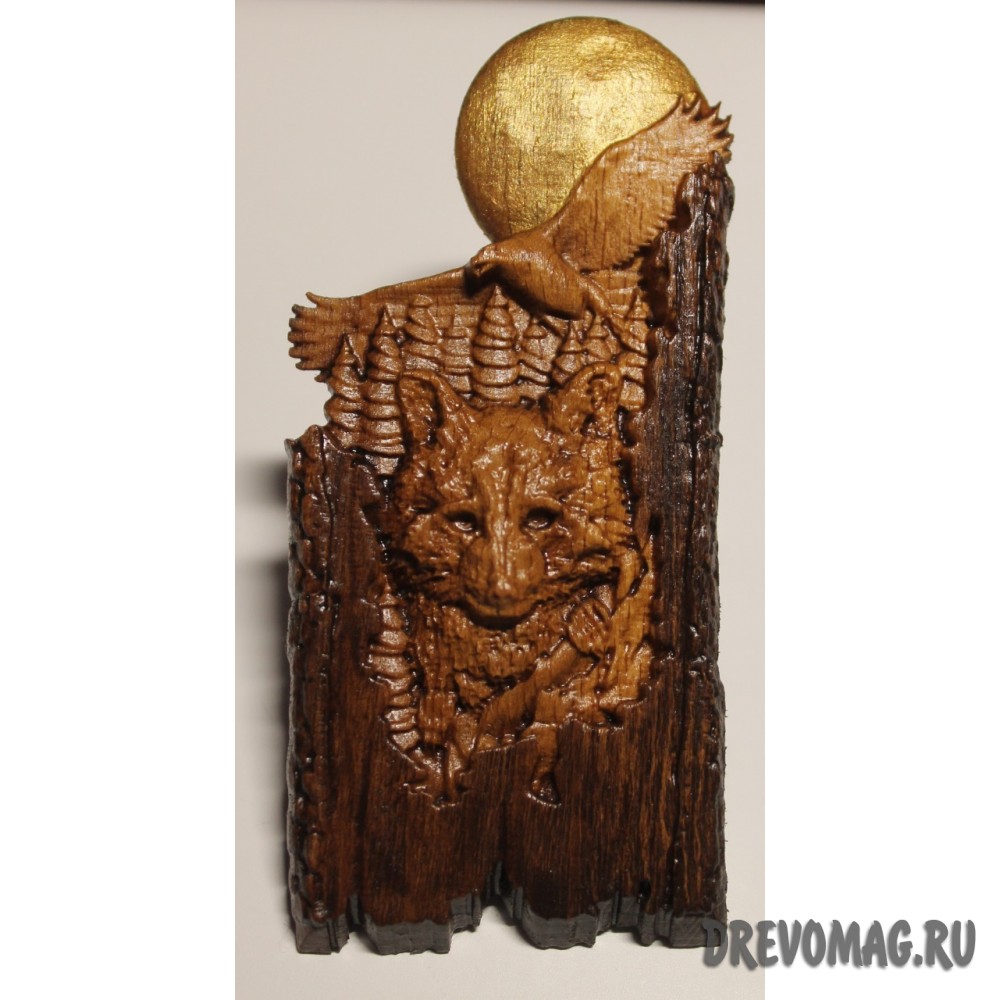 Магнит Енот