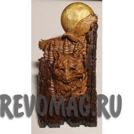 Магнит Енот