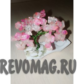 Сакура Цветущая сакральное дерево. 