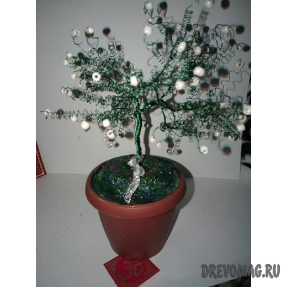 Денежное дерево-талисман  большое "Анахата"