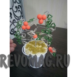 Дерево Денежное Маленькое Талисман В Ведёрке "Мандаринка"