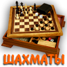 Шахматы (6)